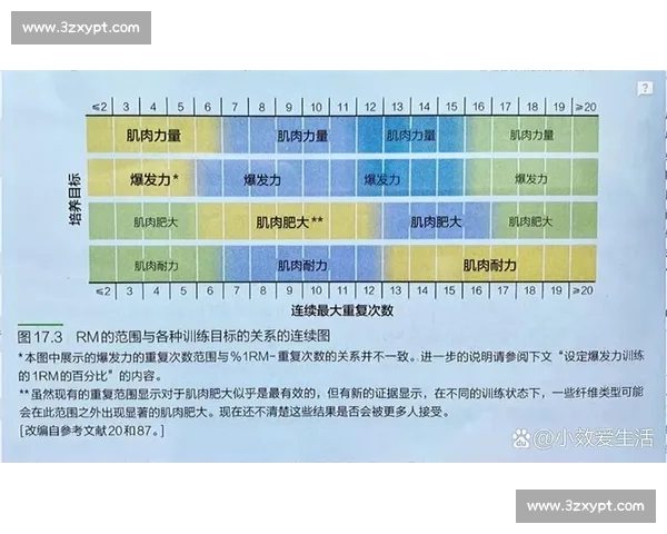 科学增肌训练全攻略：从基础动作到饮食方案全面提升肌肉力量