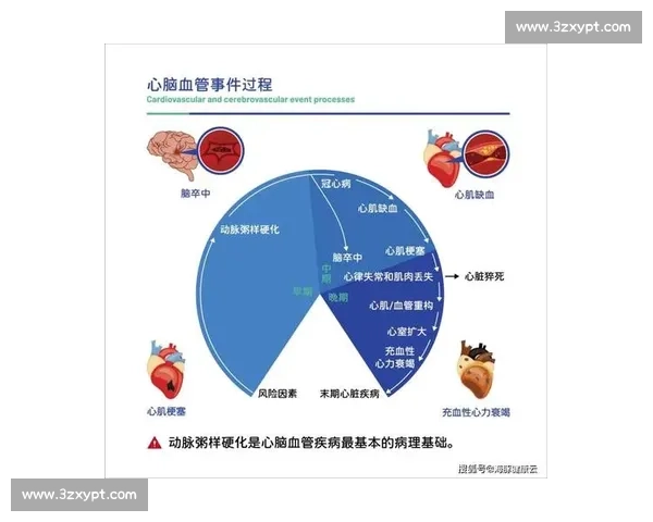 人体机能全面解析与日常健康管理策略研究
